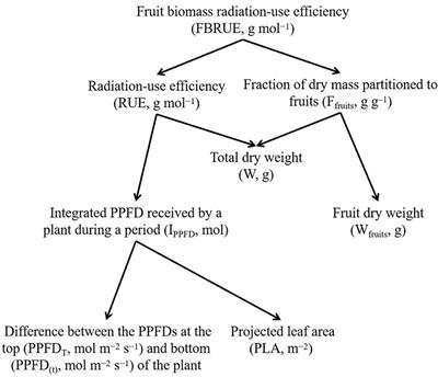 Photosynthetic photon flux density affects fruit biomass radiation-use efficiency of dwarf tomatoes under LED light at the reproductive growth stage